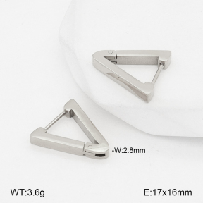 2E2007162vbmb-775  Stainless Steel Earrings