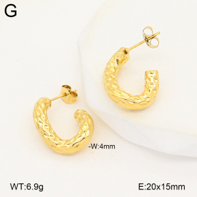2E2007163abol-775  Stainless Steel Earrings