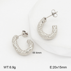 2E2007164vbnb-775  Stainless Steel Earrings