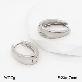 2E2007166vbpb-775  Stainless Steel Earrings