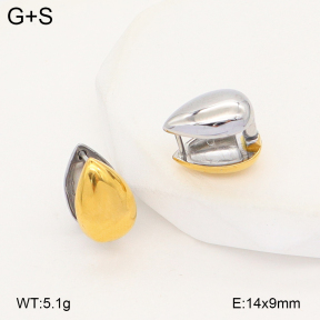 2E2007167bhjl-775  Stainless Steel Earrings