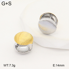 2E2007169bhjl-775  Stainless Steel Earrings