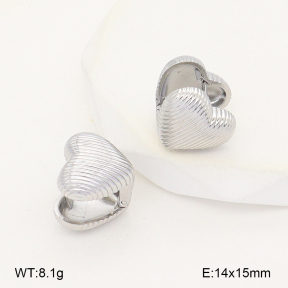 2E2007170vbpb-775  Stainless Steel Earrings