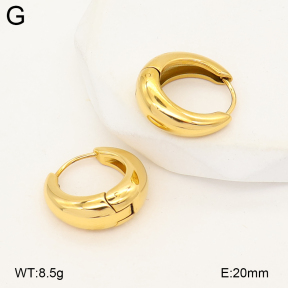 2E2007171bvpl-775  Stainless Steel Earrings