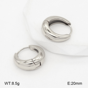 2E2007172bbov-775  Stainless Steel Earrings