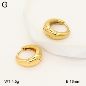 2E2007173bvpl-775  Stainless Steel Earrings