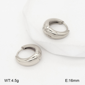 2E2007174bbov-775  Stainless Steel Earrings