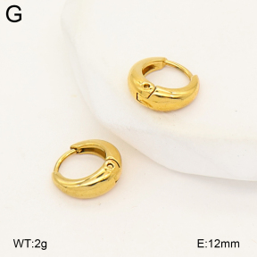 2E2007175bvpl-775  Stainless Steel Earrings