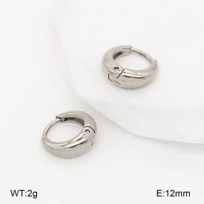 2E2007176bbov-775  Stainless Steel Earrings