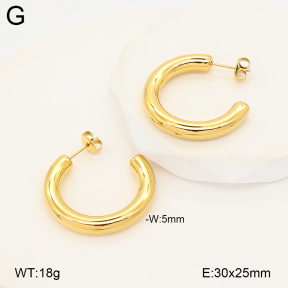 2E2007177abol-775  Stainless Steel Earrings