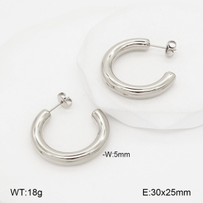 2E2007178vbnb-775  Stainless Steel Earrings