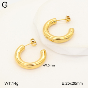2E2007179abol-775  Stainless Steel Earrings