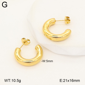 2E2007181abol-775  Stainless Steel Earrings