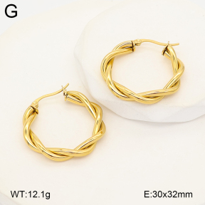 2E2007183vbpb-775  Stainless Steel Earrings