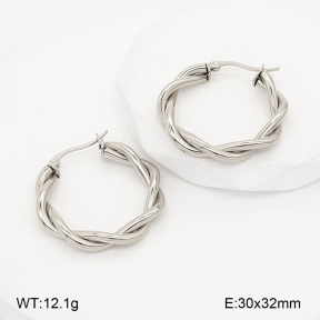 2E2007184vbnl-775  Stainless Steel Earrings
