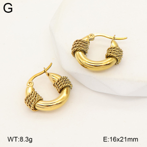 2E2007185bhbl-775  Stainless Steel Earrings