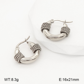 2E2007186vbpb-775  Stainless Steel Earrings