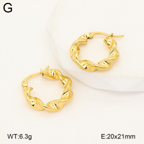 2E2007187abol-775  Stainless Steel Earrings