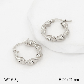 2E2007188vbnb-775  Stainless Steel Earrings