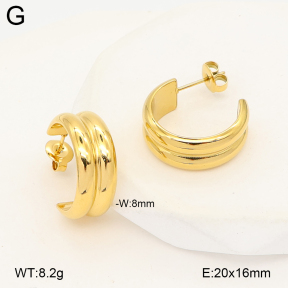 2E2007189vbpb-775  Stainless Steel Earrings