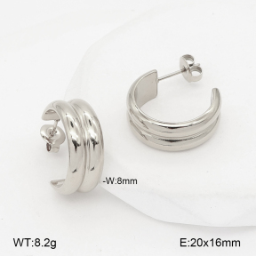 2E2007190vbnl-775  Stainless Steel Earrings