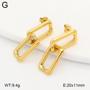 2E2007191abol-775  Stainless Steel Earrings
