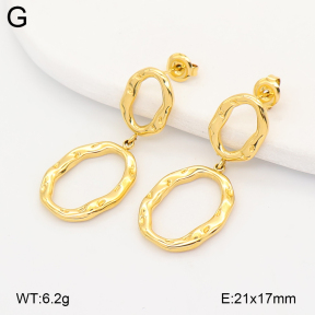 2E2007195vhhl-775  Stainless Steel Earrings