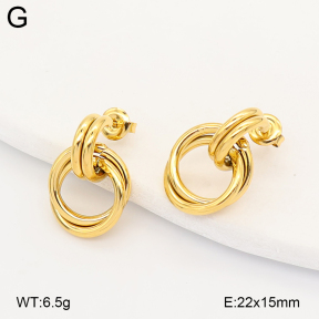 2E2007197bhva-775  Stainless Steel Earrings