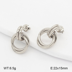 2E2007198abol-775  Stainless Steel Earrings