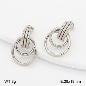 2E2007200vhha-775  Stainless Steel Earrings