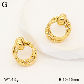 2E2007203bvpl-775  Stainless Steel Earrings