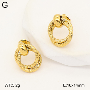 2E2007205bvpl-775  Stainless Steel Earrings