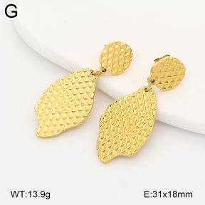 2E2007207ahjb-775  Stainless Steel Earrings