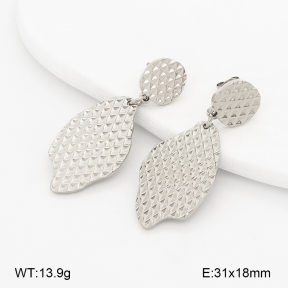 2E2007208bhbl-775  Stainless Steel Earrings