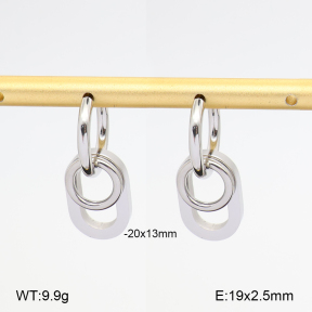 2E2007212abol-775  Stainless Steel Earrings