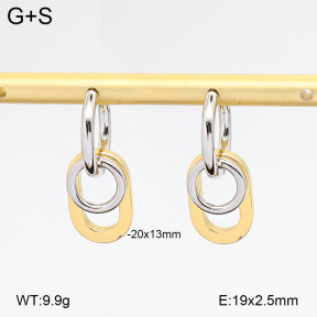 2E2007213bvpl-775  Stainless Steel Earrings