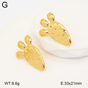 2E2007217bbov-775  Stainless Steel Earrings