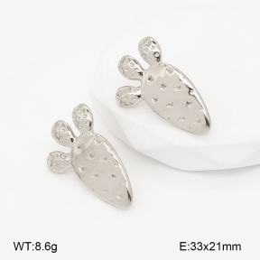 2E2007218bbml-775  Stainless Steel Earrings