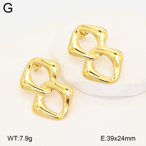 2E2007219abol-775  Stainless Steel Earrings