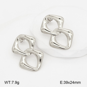 2E2007220vbnl-775  Stainless Steel Earrings