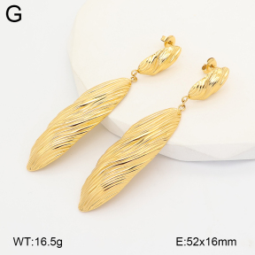 2E2007222ahjb-775  Stainless Steel Earrings