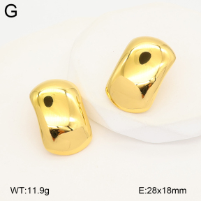 2E2007224abol-775  Stainless Steel Earrings