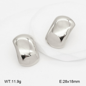 2E2007225vbnb-775  Stainless Steel Earrings