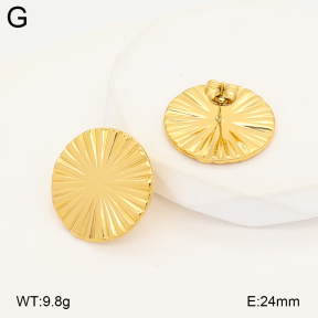 2E2007226bbov-775  Stainless Steel Earrings