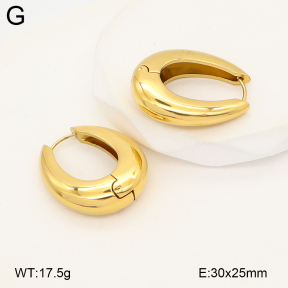 2E2007228bhia-775  Stainless Steel Earrings