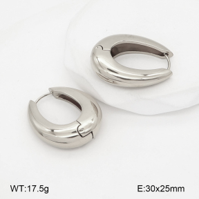 2E2007229bhva-775  Stainless Steel Earrings