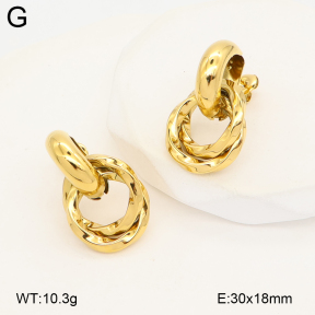 2E2007230bhva-775  Stainless Steel Earrings