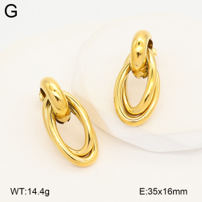 2E2007232bhbl-775  Stainless Steel Earrings