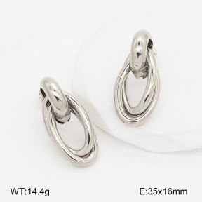 2E2007233vbpb-775  Stainless Steel Earrings