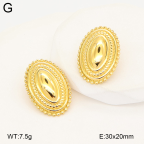 2E2007234abol-775  Stainless Steel Earrings